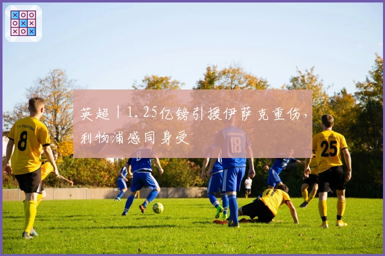 英超｜1.25亿镑引援伊萨克重伤，利物浦感同身受